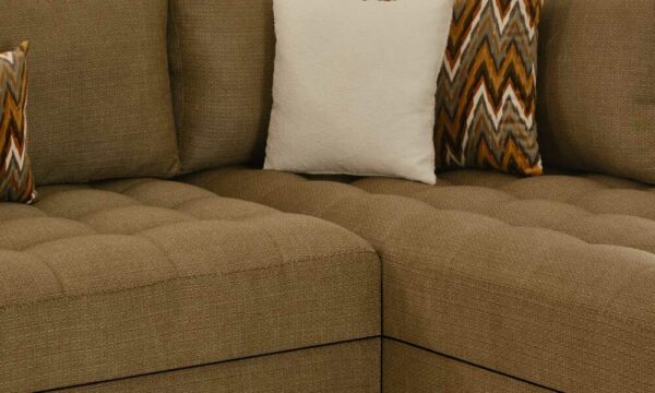 HAVANA 40x20m Marron SITE A1 Z 1 1000x600 1